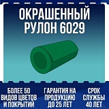 Окрашенный рулон 6029