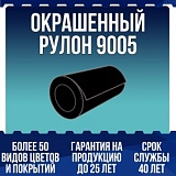 Окрашенный рулон 9005
