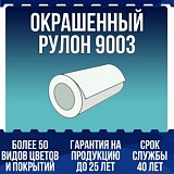 Окрашенный рулон 9003