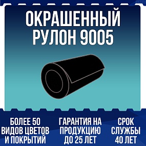 Окрашенный рулон 9005