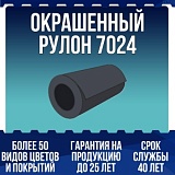 Окрашенный рулон 7024