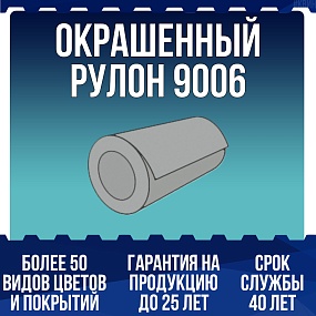 Окрашенный рулон 9006