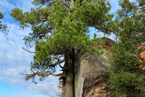 Сказочное путешествие в "Каменный город" и "Этнопарк истории реки Чусовой"